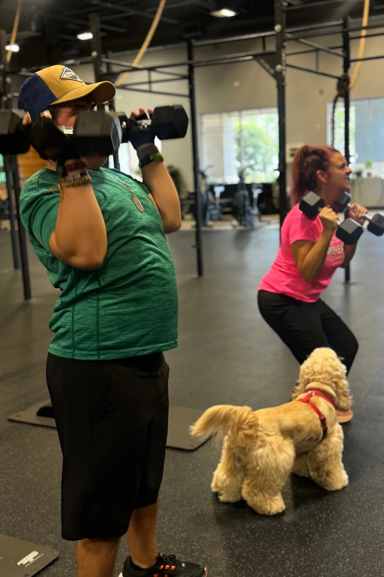 imgi_1_gallery-5-emHOmpmH